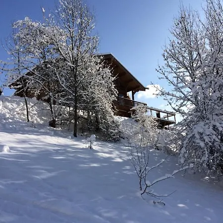酒店 Chalet Chamois 莫尔济讷
